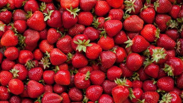 Fresas de temporada