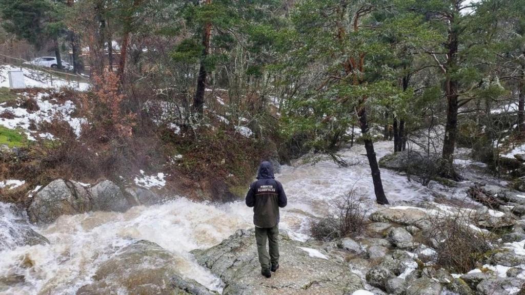 Agente forestal de la Comunidad de Madrid.