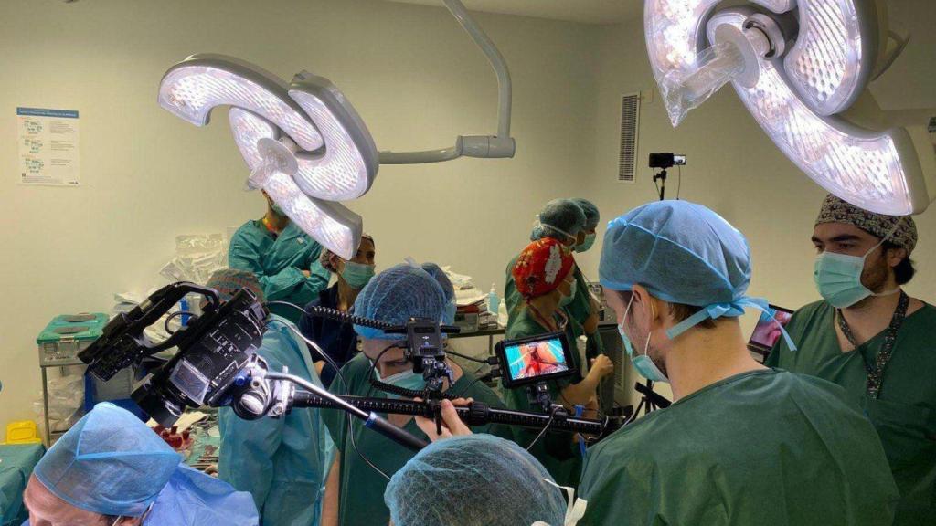 El equipo de ginecología del Clínico de Málaga realizando una intervención con la técnica V-NOTES.