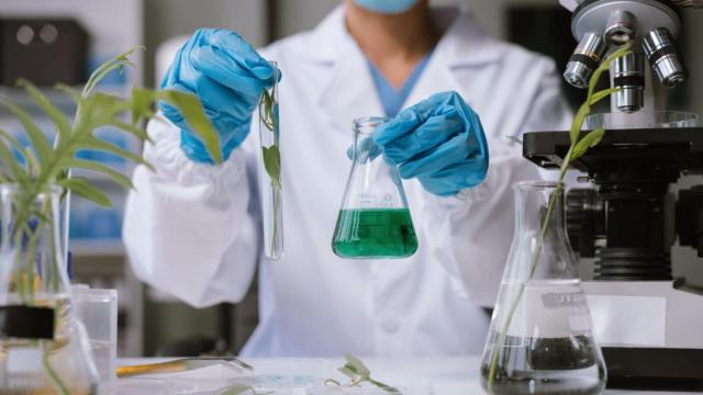 Microbiología de laboratorio ecológico