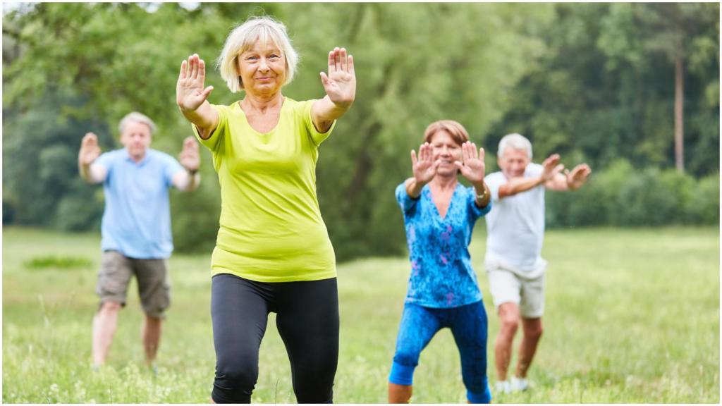 La programación se realizará entre marzo y mayo