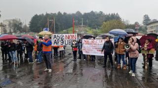 Manifestantes en el Ayuntamiento de Vigo