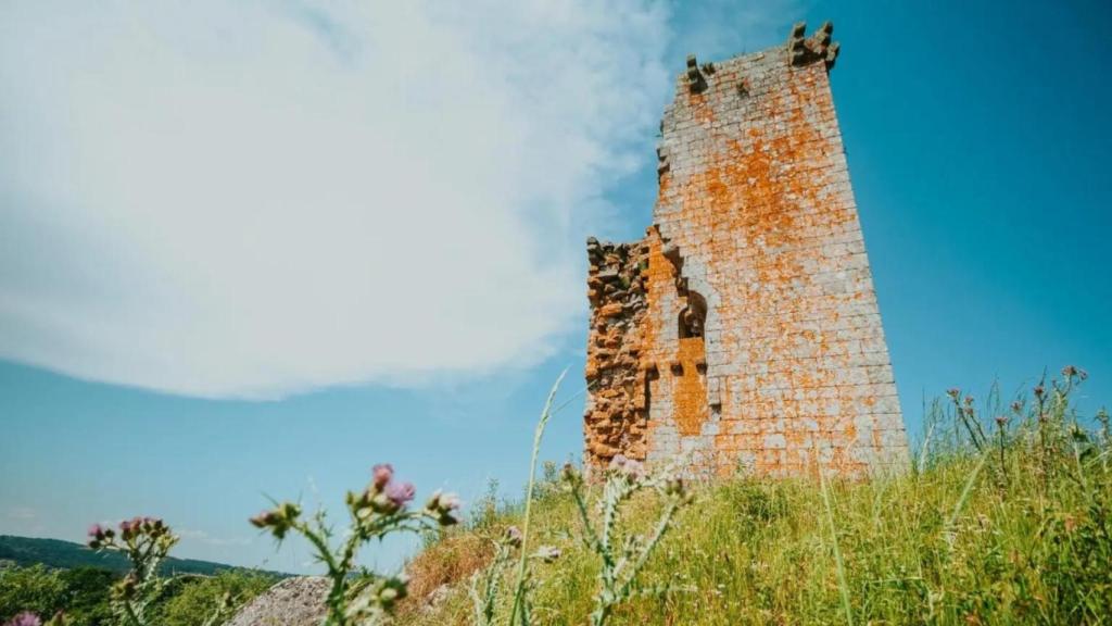 Torre do Castro de Sandías (Ourense)