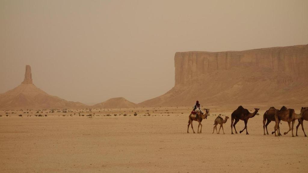 Desierto de Arabia Saudí