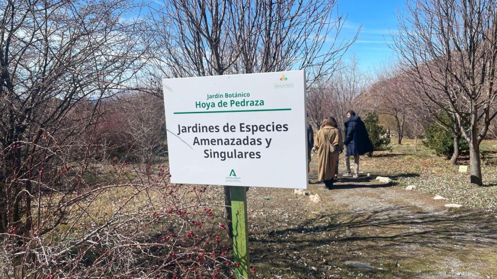 Jardín Botánico Hoya de Pedraza de Sierra Nevada.
