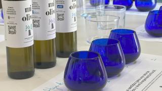 'ApadrinaUnOlivo.org' es una de las iniciativas que quiere potenciar el aceite aragonés en Estados Unidos