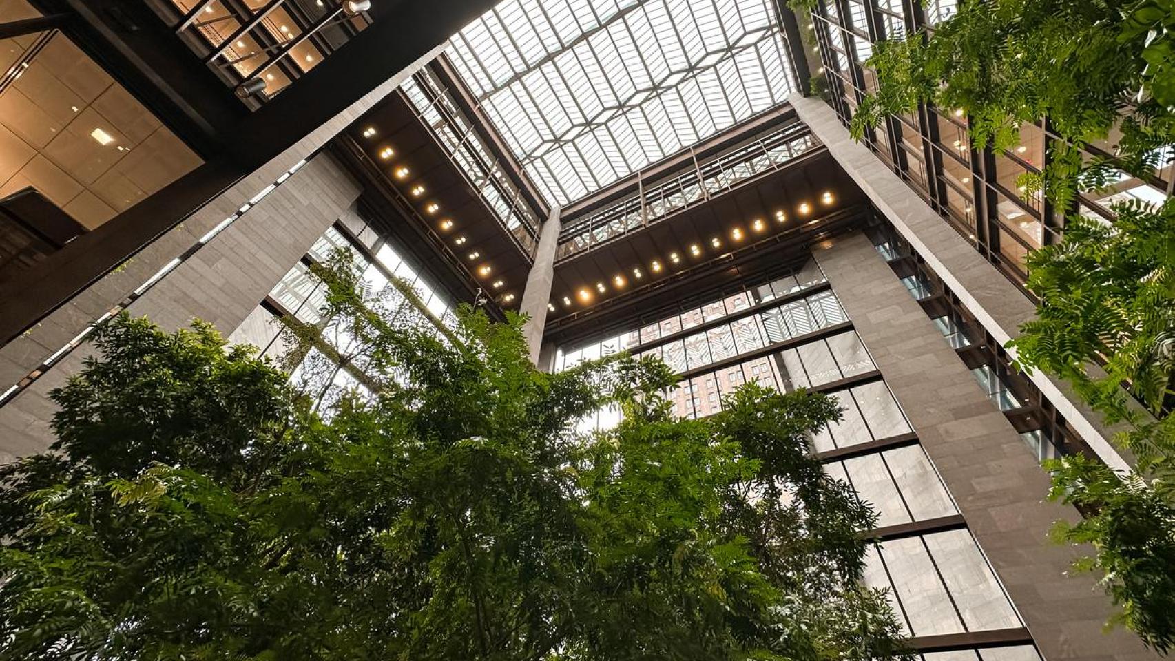 Imagen de archivo de un jardín vertical.