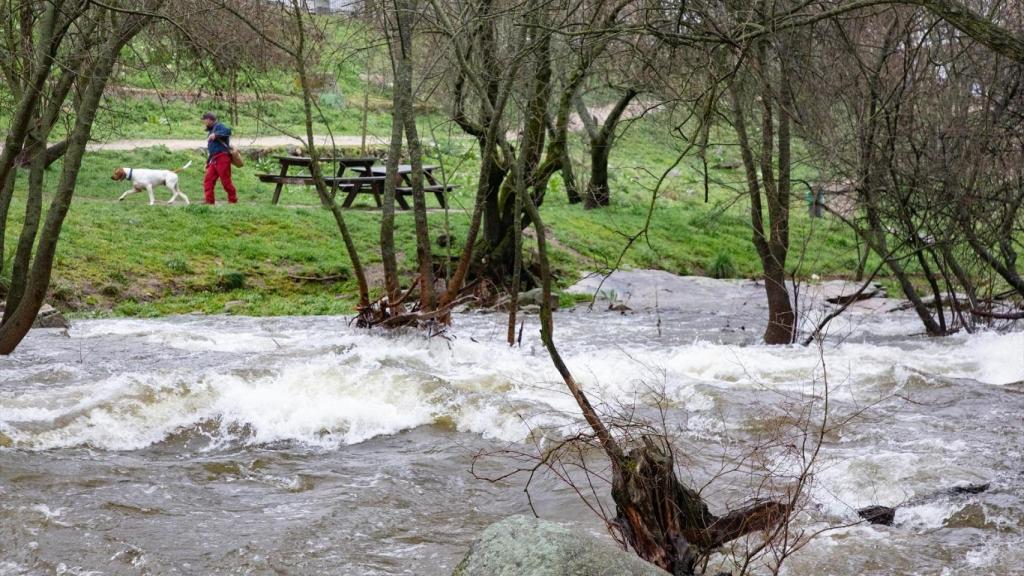 El río Manzanares se desborda a su paso por un parque.