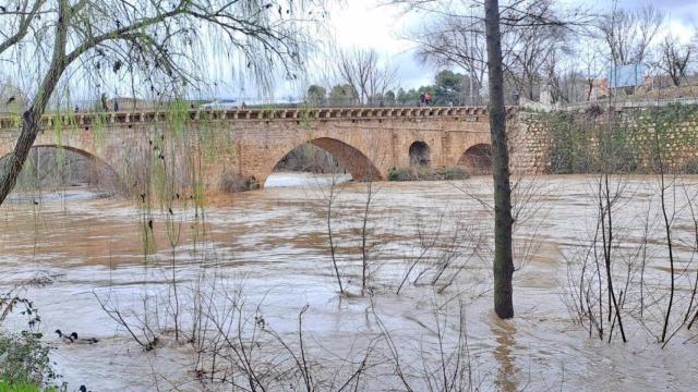Guadalajara incrementa la vigilancia sobre el Henares ante la crecida del caudal que se encuentra en nivel rojo.