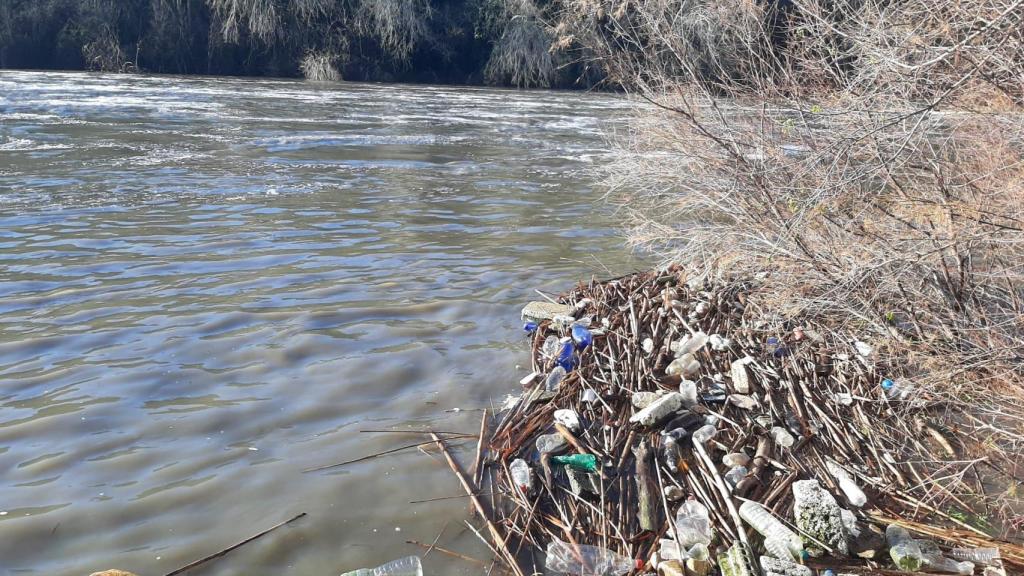 Ribera del Tajo en las inmediaciones del barco de pasaje.