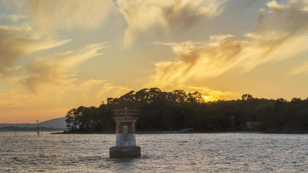 Illa de Cortegada (Pontevedra)