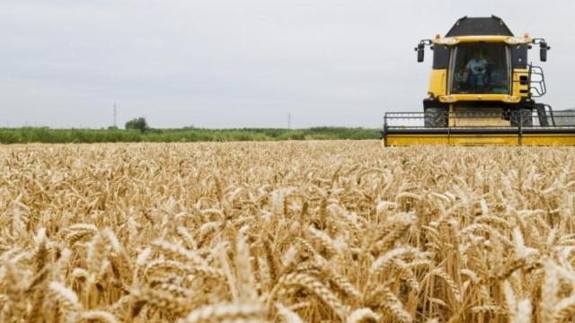 El pasado año, la práctica totalidad de Teruel y una decena de las comarcas de Zaragoza se vieron afectadas por la sequía