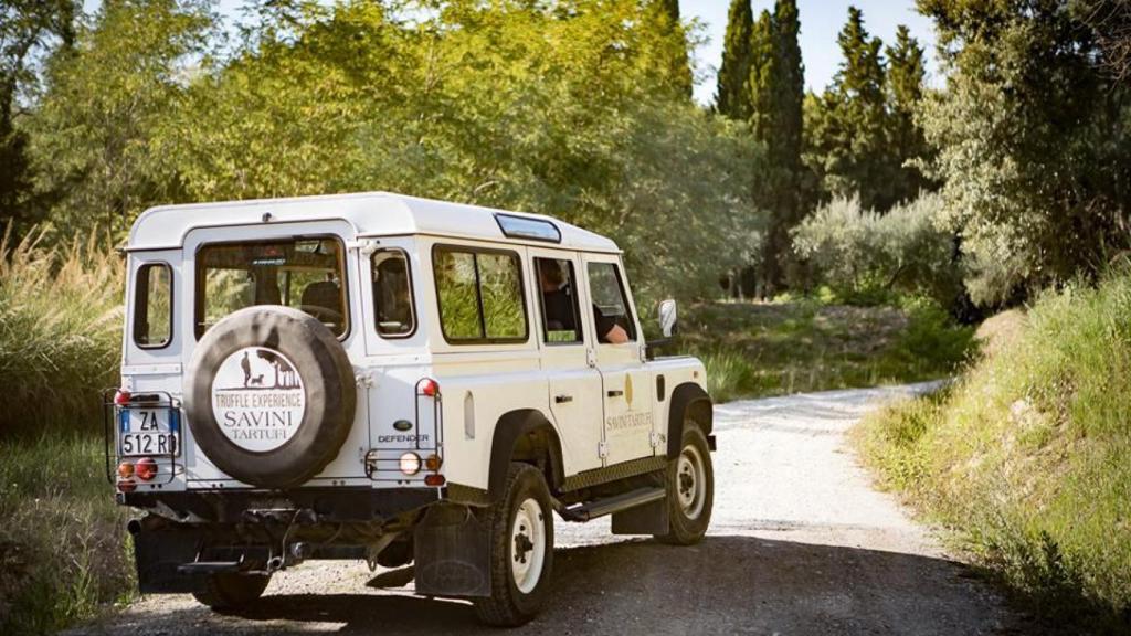 En busca de la trufa perdida.