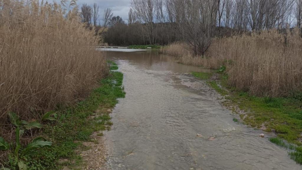 Foto: Protección Civil de El Casar de Escalona