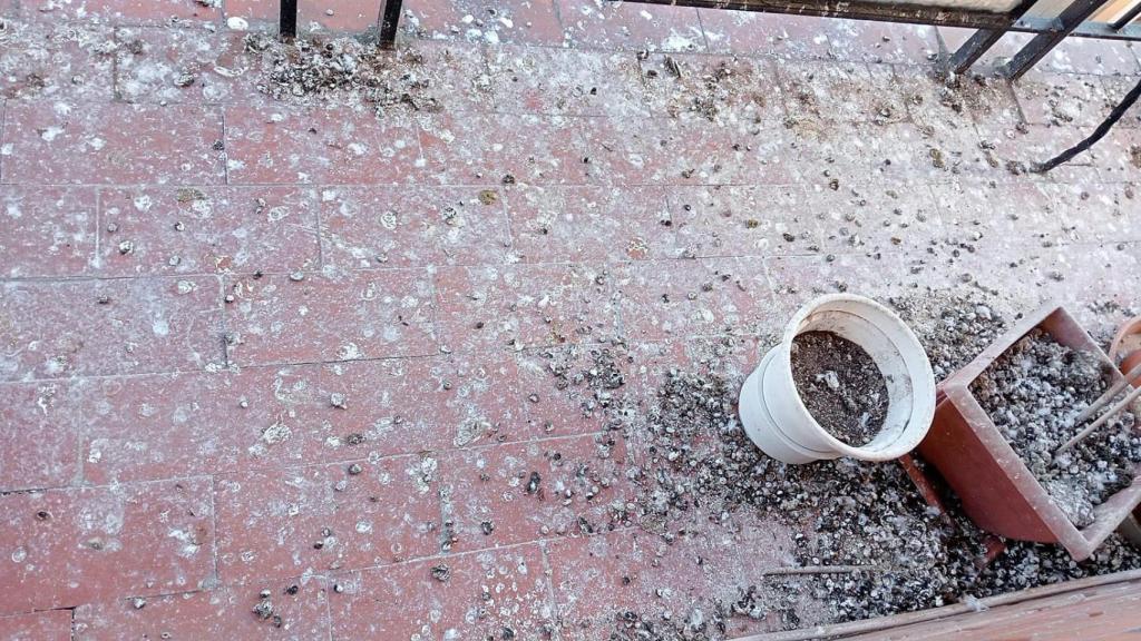 Estado de la terraza de la vivienda de Milagros