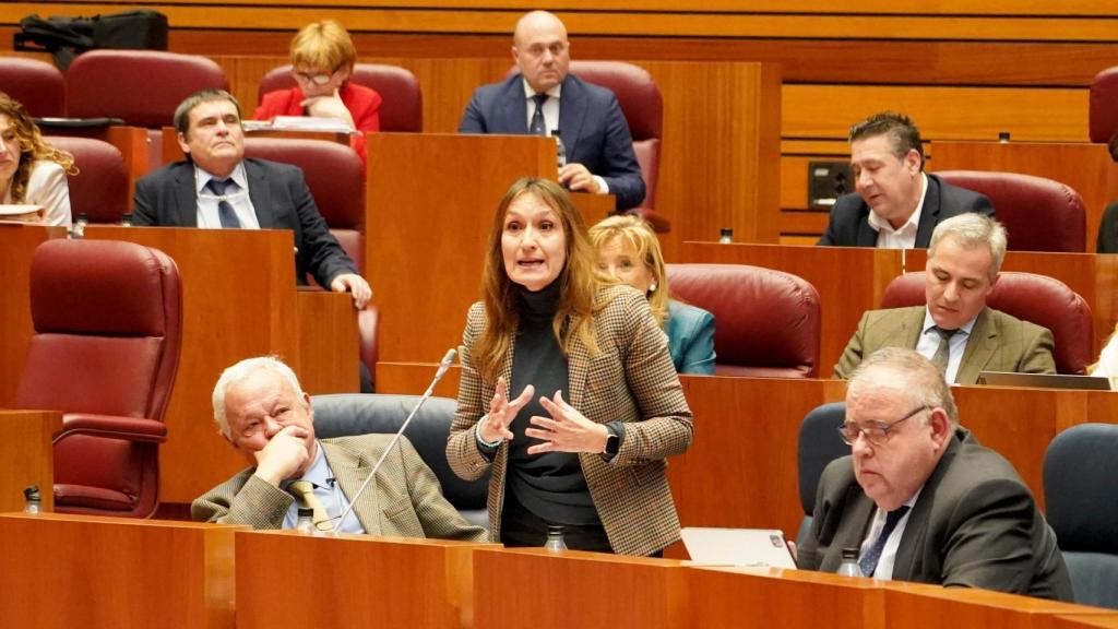 La consejera de Educación, Rocío Lucas, durante su intervención en el Pleno de las Cortes de Castilla y León