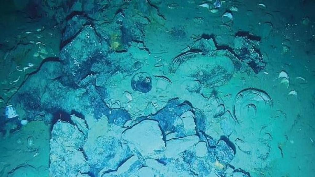 Piezas arqueológicas en la zona del hundimiento del galeón español 'San José'. Foto: Ministerio de Cultura de Colombia