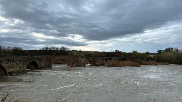 Imagen del río Tajo este martes a su paso por Talavera de la Reina.