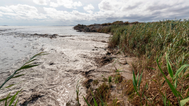 Desembocadura de la Rambla del Albujón al Mar Menor.