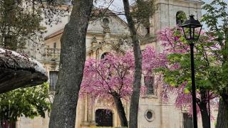 Vista del municipio de Nuevo Baztán.