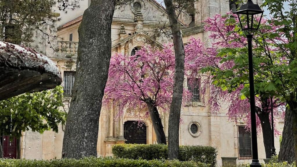 Vista del municipio de Nuevo Baztán.