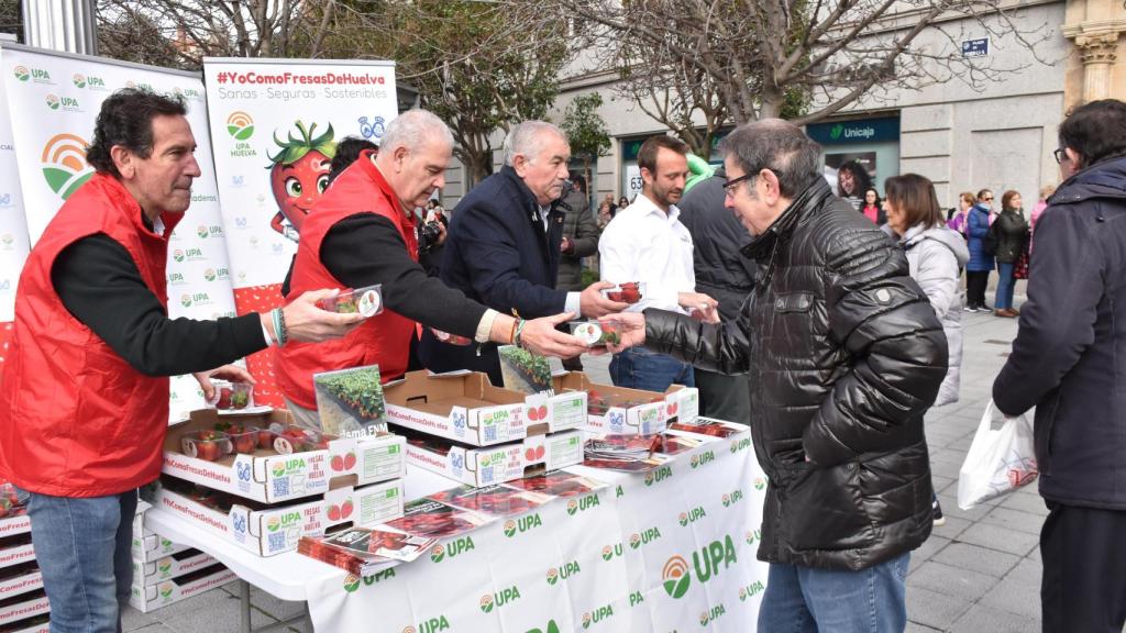 Entrega de fresas en Valladolid