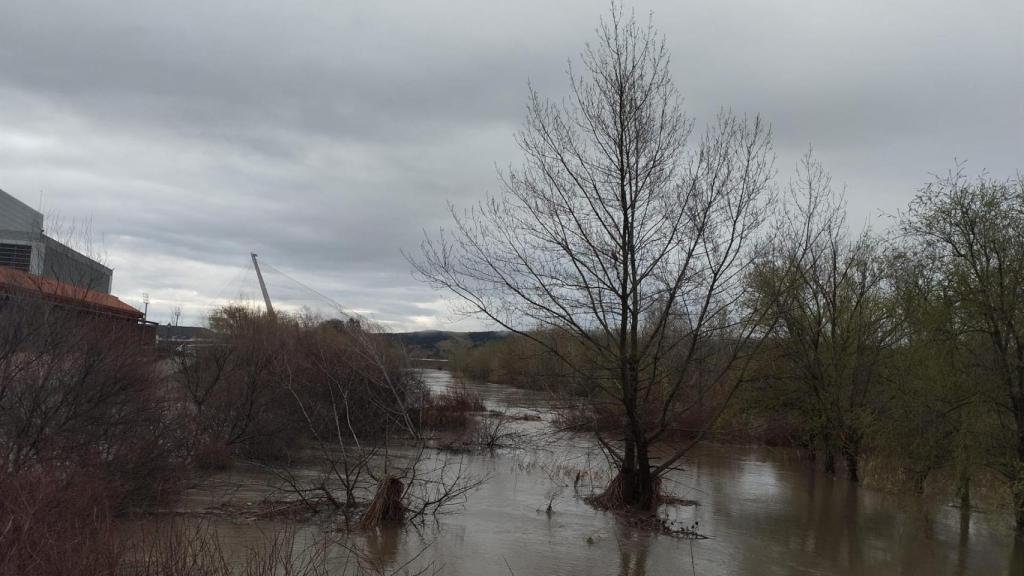 El río Tajo desbordado a su paso por Talavera de la Reina.