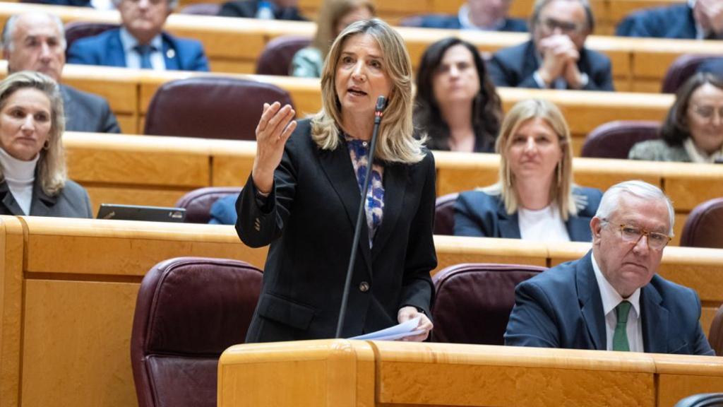 La portavoz del PP en el Senado, Alicia García, en la Cámara Alta.
