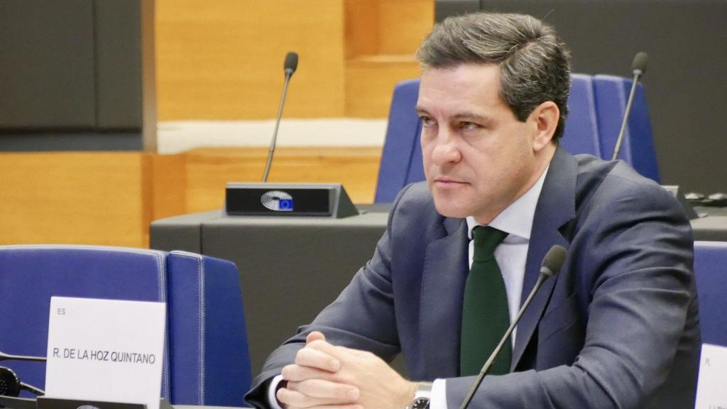El eurodiputado del PP Raúl de la Hoz