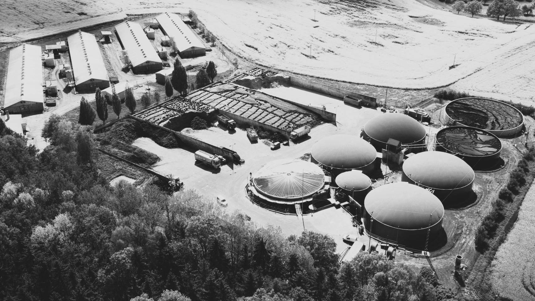 Crecimiento sostenible