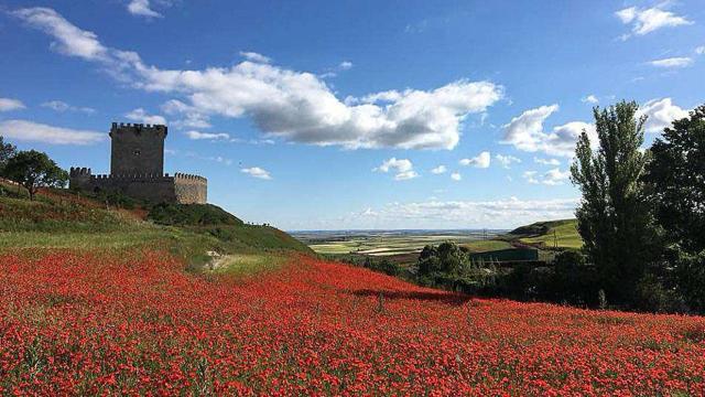 El castillo de Tiedra