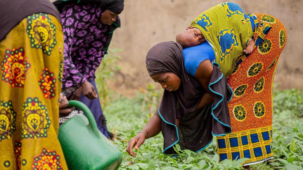 En Fada, un grupo de mujeres desplazadas internamente ha comenzado su propia huerta tras recibir capacitación y equipo de jardinería del proyecto PURE de Plan International.