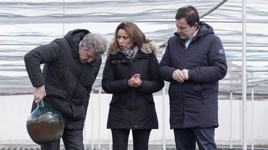 El presidente del Partido Popular, Alberto Núñez Feijóo, y el presidente de la Junta de Castilla y León y del PP regional, Alfonso Fernández Mañueco, v