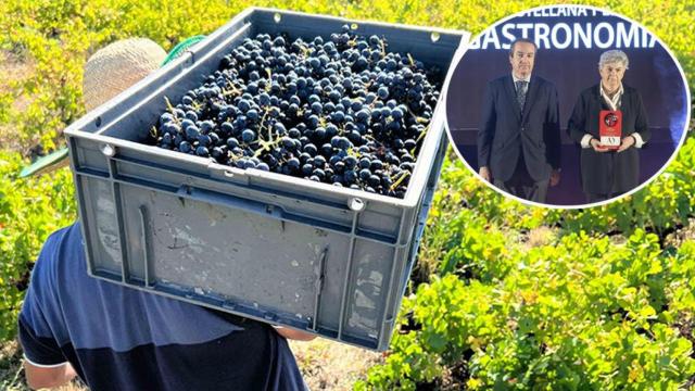 Vendimia en la bodega premiada y Elva recogiendo el premio