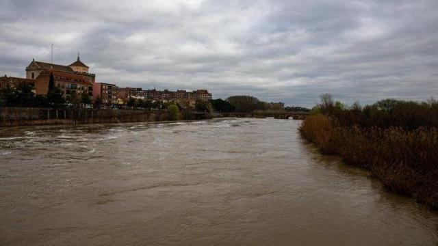Crecida del río Tajo este miércoles a su paso por Talavera de la Reina. Foto: Ayuntamiento.