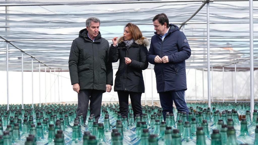 El líder del PP, Alberto Núñez Feijóo, este viernes durante una visita a unas bodegas de Valladolid, junto al presidente de la Junta de Castilla y León, Alfonso Fernández Mañueco.