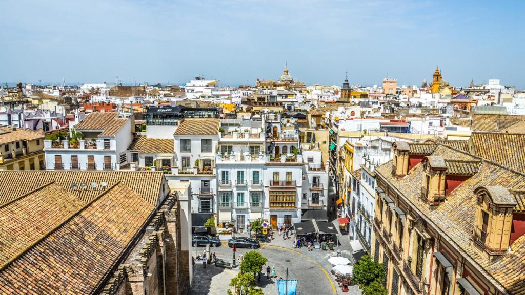Esta es la zona que los jóvenes eligen para su etapa universitaria.