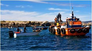 Acción de este sábado en el islote Pedregoso