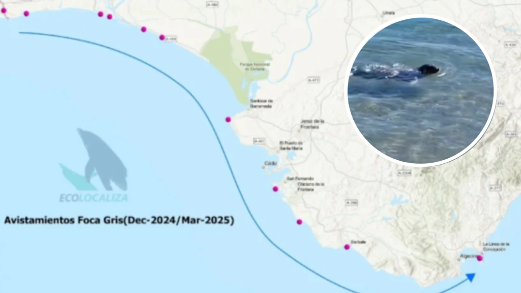 El viaje de Carmela y una imagen de ella en Manilva.