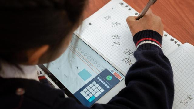 Una alumna de matemáticas.