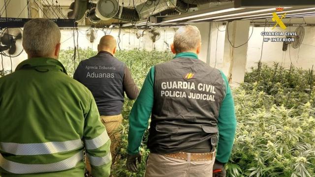 Operación 'Bosque'. Foto: Guardia Civil.