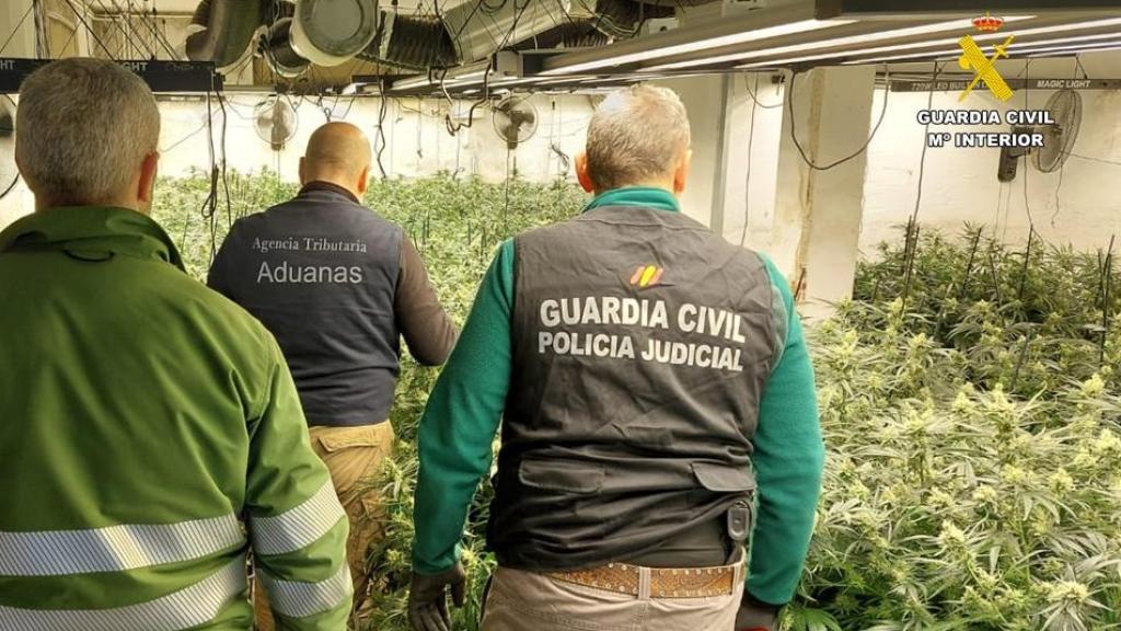 Operación 'Bosque'. Foto: Guardia Civil.