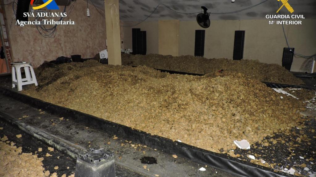 Operación 'Bosque'. Foto: Guardia Civil.