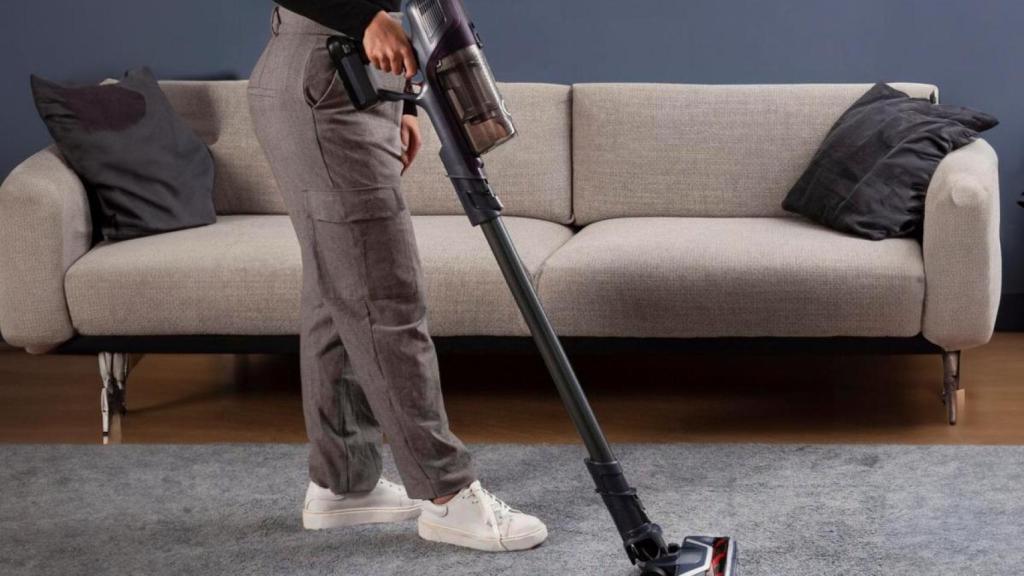 Aspirador sin cable Rowenta XPert 6.60