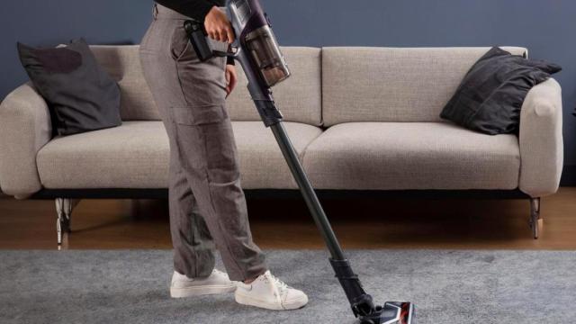 Aspirador sin cable Rowenta XPert 6.60