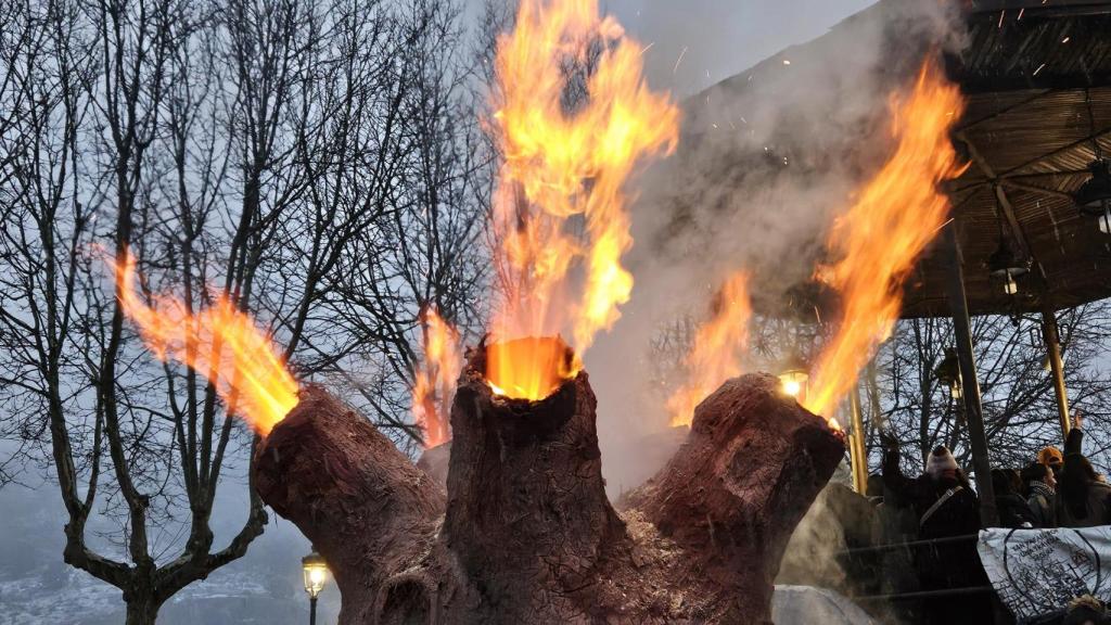 Las chimeneas que se forman en las ramas del árbol de fuego