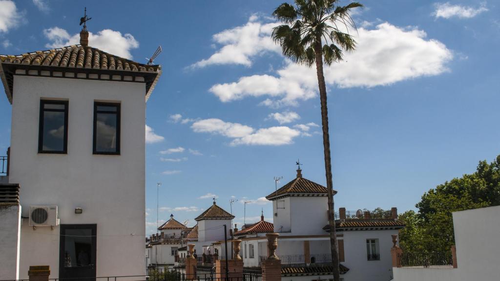 Sus casas son conocidas en toda la ciudad.