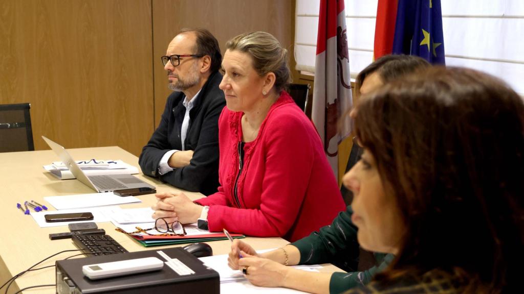 La vicepresidenta de la Junta de Castilla y León y consejera de Familia e Igualdad de Oportunidades, Isabel Blanco, durante la reunión