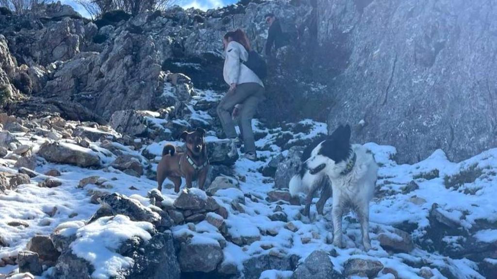 Una senderista junto a Nutella y Mía, este domingo en la Sierra de Aitana (Alicante).