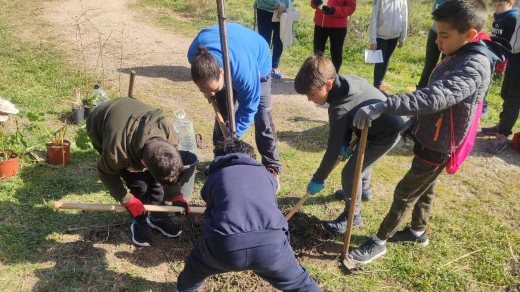 Una de las actividades de la Fiesta del Árbol.